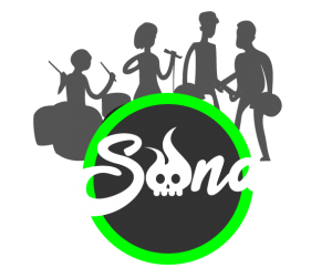 Logo groupe sona